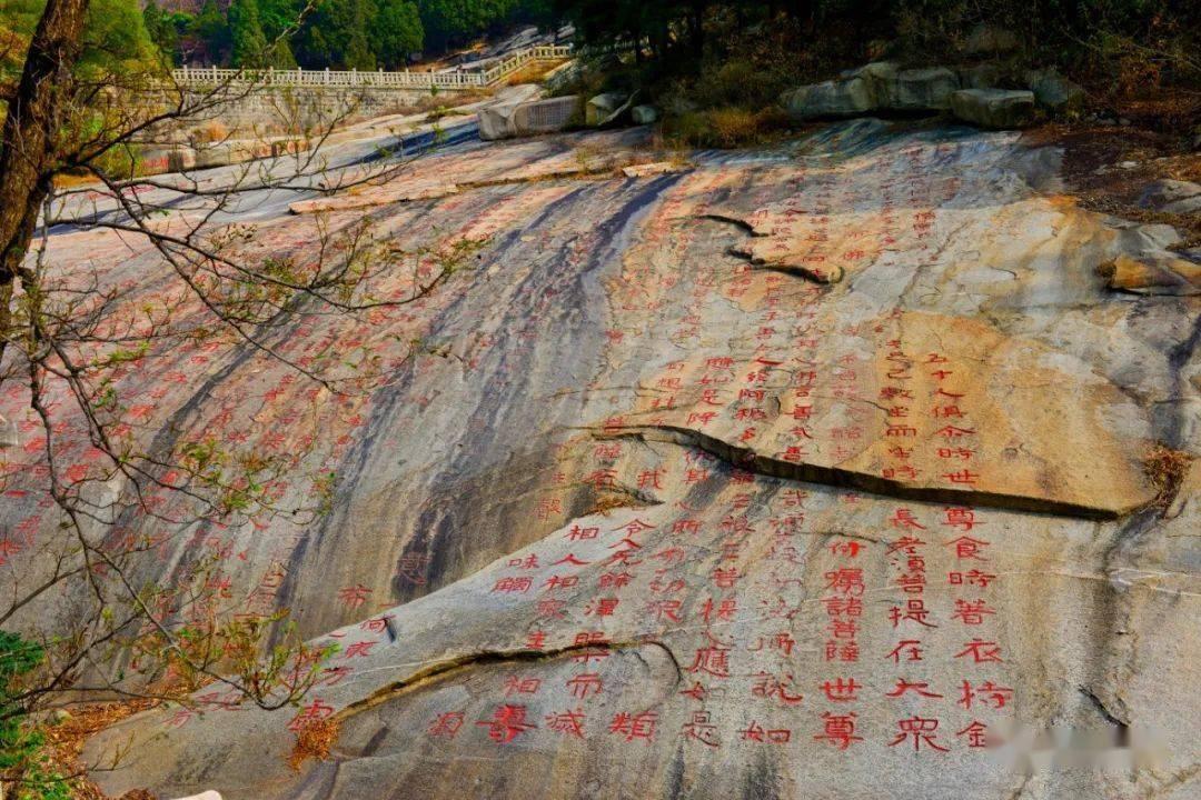 水光科普(上)解析水光针的成分及作用 整形医生高良杰