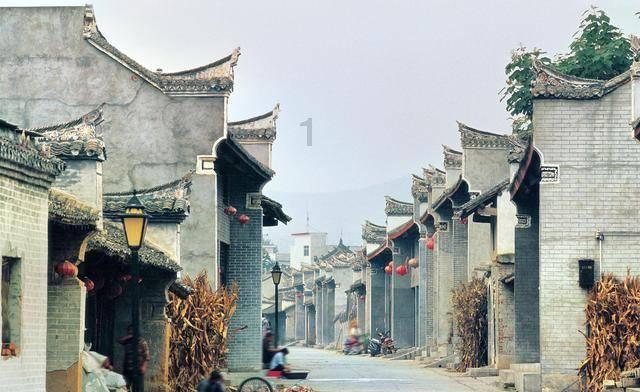 照顾小兔宝宝